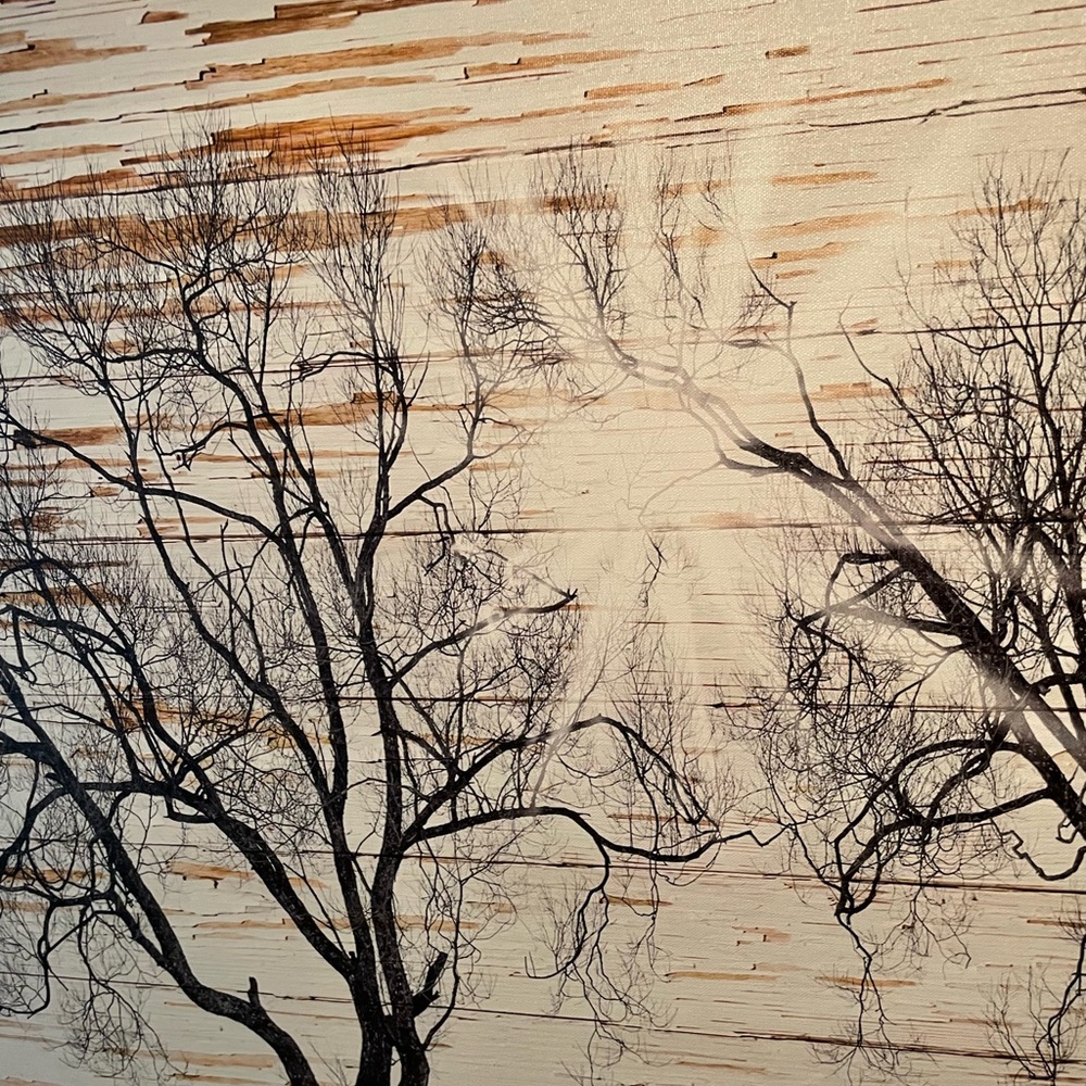 Sunburst Landscape Canvas - Picture 3 of 8